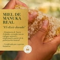 thumbnail image 3 of Crema para Peinar Herbal Essences Bío:Renew Manuka Honey & Aloe 300 ml, 3 of 5