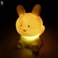 thumbnail image 2 of Cute Chinese Zodiac Animal Shaped LED Flashing Color Changing Decor Night Light, 2 of 8