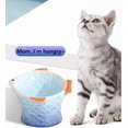 thumbnail image 1 of Comedero de cerámica para gatos elevado e inclinado: un bonito plato inclinado y poco profundo para gatos., 1 of 4