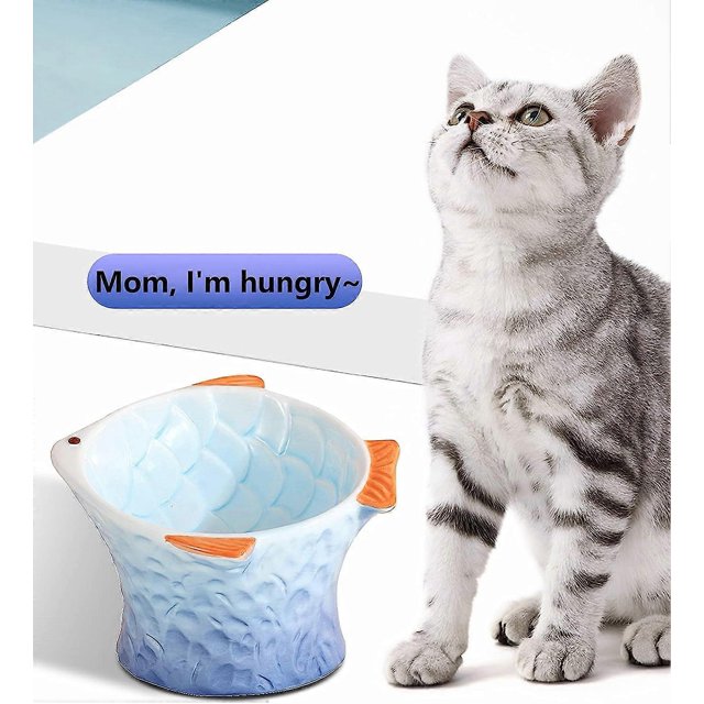 Comedero de cerámica para gatos elevado e inclinado: un bonito plato inclinado y poco profundo para gatos.