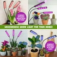 thumbnail image 6 of Bell+Howell Bionic Grow Light for Indoor Plants 3 Heads Flexible Growing Lamp with 8 Brightness Settings, 3 Light Modes Including Full Spectrum UV Light Growing Plant Light As Seen On TV, 6 of 11