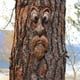 thumbnail image 3 of Cara de árbol estatua al aire libre anciano árbol abrazando corteza mueca decoración de rasgos faciales, 3 of 5
