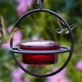 thumbnail image 3 of Comedero Para Pájaros Al Aire Libre, Comedero Colgante Para Colibríes, Decorativo, Ligero, Resistente, Portátil Para Regalos De Amantes De Los Pájaros, 3 of 7