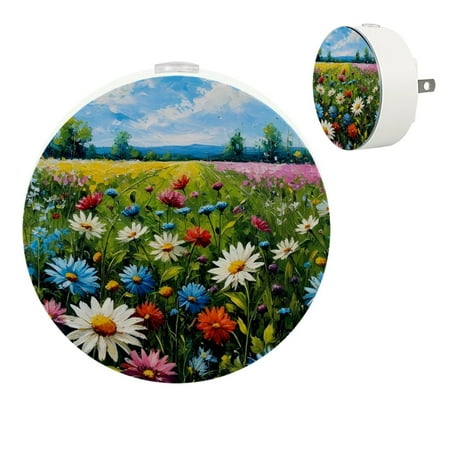 

YZUOUZY Night Light Night Lights Small Bedside Lamps Set of 2 Oil Painting Artwork Flowers Landscape