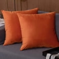 thumbnail image 4 of Lotechicw 2pcs Velvet Soft Solid Decorative Square Cushion Cover 18*18 Inch, 4 of 4