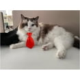 thumbnail image 3 of Conjunto de pajarita y corbata para mascotas, cuello formal ajustable Yosbabe, 3 of 7