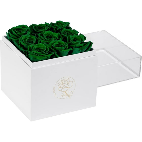 9pcs Preservd Rose in Acrylic Box Eternal Flower That Lasts 4 Years Gifts for Girlfriend Wife Mom Women Valentines Day Anniversary Birthday Mothers Day(Sky Blue)