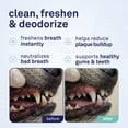 thumbnail image 2 of Petpost | Fresh Breath Foam for Dogs - Mint & Apple Flavored Dental Solution that Kills Bad Breath - Natural Tooth Cleaning Treatment, 2 of 8