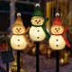 thumbnail image 1 of Luces navideñas solares LIGHTSHINE con forma de muñeco de nieve, 3 unidades, 1 of 5