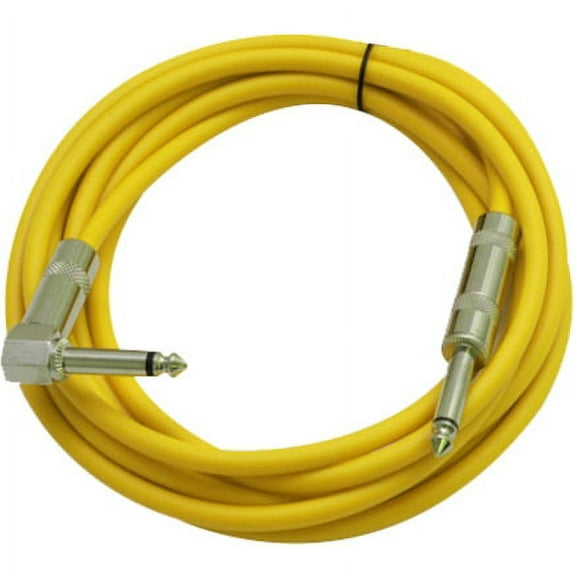 Seismic Audio Right Angle to Straight Guitar Cable 10'