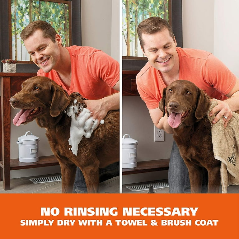 Dry dog top shampoo walmart