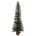 thumbnail image 1 of Vickerman B166830 Mini Pin Vert de 3 Pi x 11 Po avec Base en Toile de Jute à 378 Pointes, 1 of 4