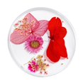 thumbnail image 4 of Decoración 3D Zulema Flores Secas Naturales Para Uñas Acrílicas, 4 of 5