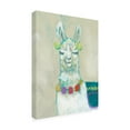 thumbnail image 2 of Trademark Fine Art 'Llama Fun II' Canvas Art by Jennifer Goldberger, 2 of 3