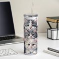 thumbnail image 4 of Sweet Gray And White Cats 20oz Insulated Water Bottle Skinny Tumbler Includes Straw, 4 of 7