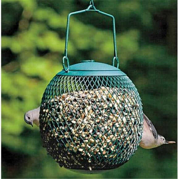 The Seed Ball