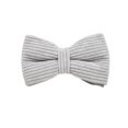 thumbnail image 1 of Light Grey Corduroy Dog Collar And Leash With Custom Engraved Nameplate, 1 of 17