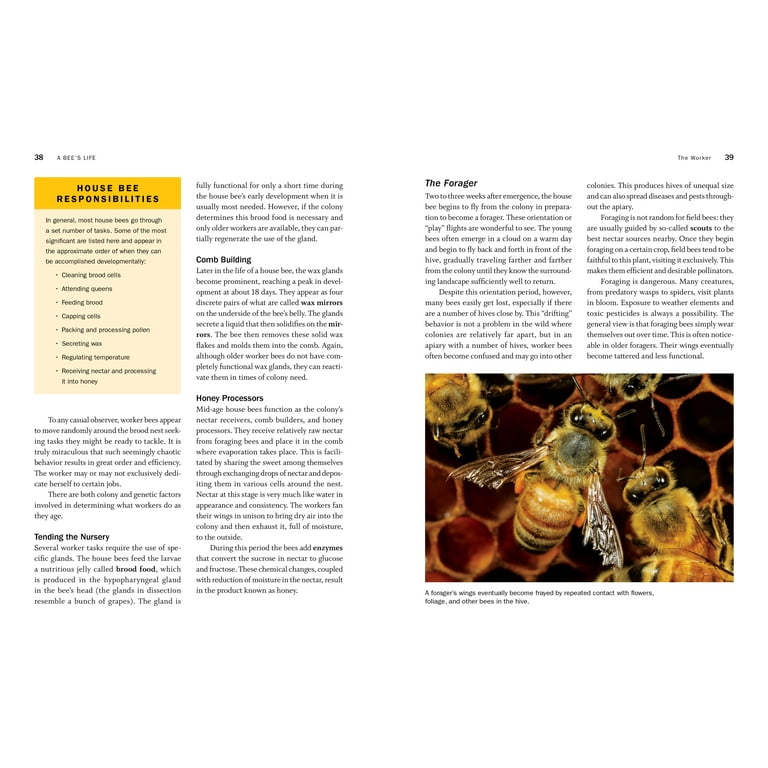 Honey Beekeeping - A Comprehensive Guide