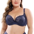 thumbnail image 1 of Woman New Lace Perspective Bra Women Lingerie Underwire Embroidery Floral Bralette Plus Size Non Padded Bra, 1 of 7