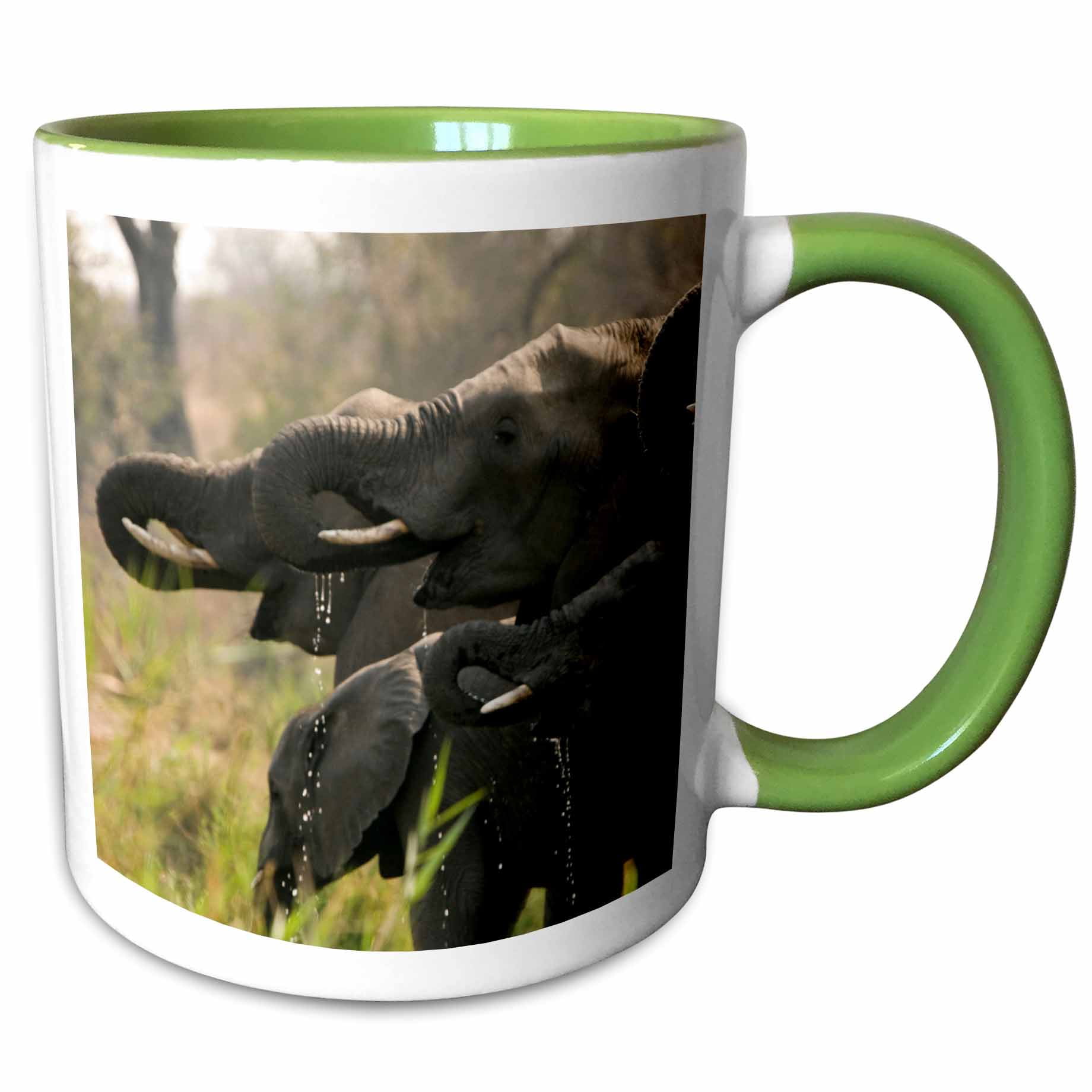 3drose, African Elephants Drink from a River in the Mpumalanga, South Africa., 11oz Two-tone Green Mug