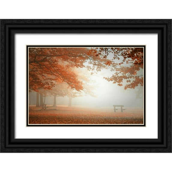 Dingemans, Saskia 24x17 Black Ornate Wood Framed with Double Matting Museum Art Print Titled - The wonders of nature