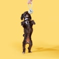 thumbnail image 6 of Peps Pet Toy Twisted Rope Green, 6 of 6