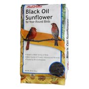 JRK Seed & Turf Supply B200020 20 lbs. Black Oil Sunflower Bird Food