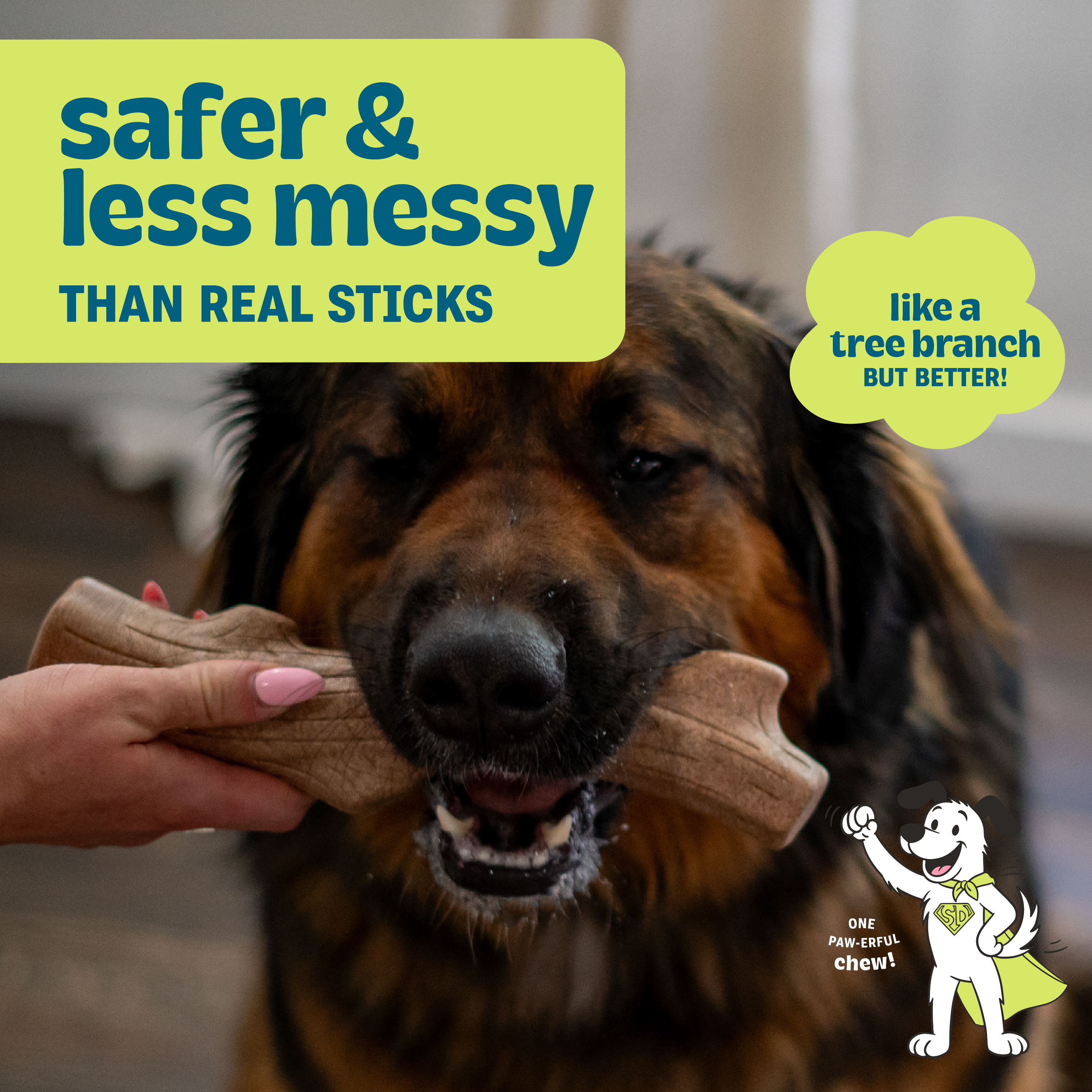 Petstages Pupstages Super Dogwood Dog Chew, Large photo 2