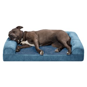Furhaven Orthopedic Sofa Pet Bed for Dogs & Cats, Large