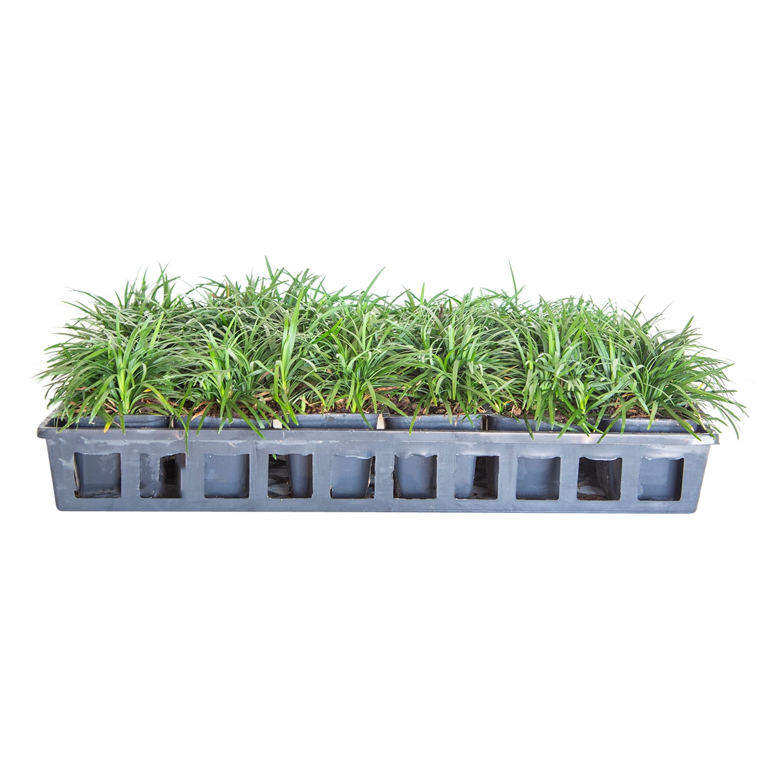 18 Miniature Grasses Artificial Succulents Plants Doll House Landscape 