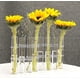 thumbnail image 2 of Hinged Flower Vase,6/8 Hinged Flower Vases Test Tube,hydroponic Plant Vase Transparent Aquatic Plant Display Holder, 2 of 5