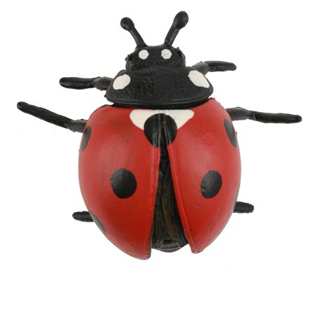 Walfront 8pcs Set En Plastique 3d Modele D Insecte Kit Bebe Enfants Jouets Educatifs Accessoires De Photographie Ensemble De Jouet Insecte Modele D Insecte Walmart Canada