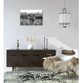 thumbnail image 2 of WFSposter Highland Cow Wall Art Black and White Animal Wall Decor Canvas Cow Picture Highland Cow Prints Paintings Framed for Living Room Bathroom (12x16 inch), 2 of 6