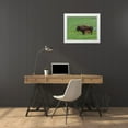 thumbnail image 3 of Galloimages Online 32x26 White Modern Wood Framed Museum Art Print Titled - Baby Bison Nursing, 3 of 4