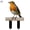 13, variant on Bird Acrylic Garden Stake2D Flat Lawn Decor for Yard and PatioWaterproof Animal Silhouette Garden DecorationEasy Installation Outdoor Ornament for Flower Pots