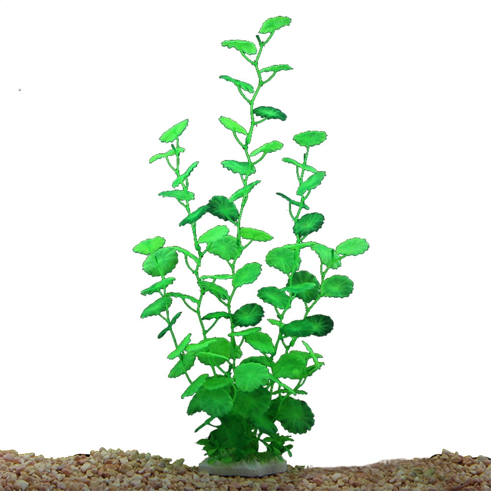 Plant Life Plant Life