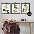 thumbnail image 3 of Stupell Industries Vintage Botanical Flowers on Beige Botanical & Floral Painting Black Floater Framed Canvas Art Print Wall Art, 25 x 31, Set of 3, 3 of 9