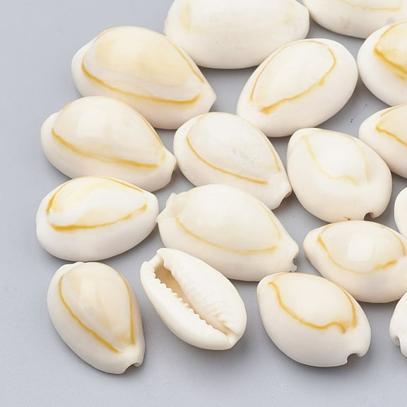 50pcs Natural Cowrie Shell Beads Seashell color 18~23x11~15x8~12mm