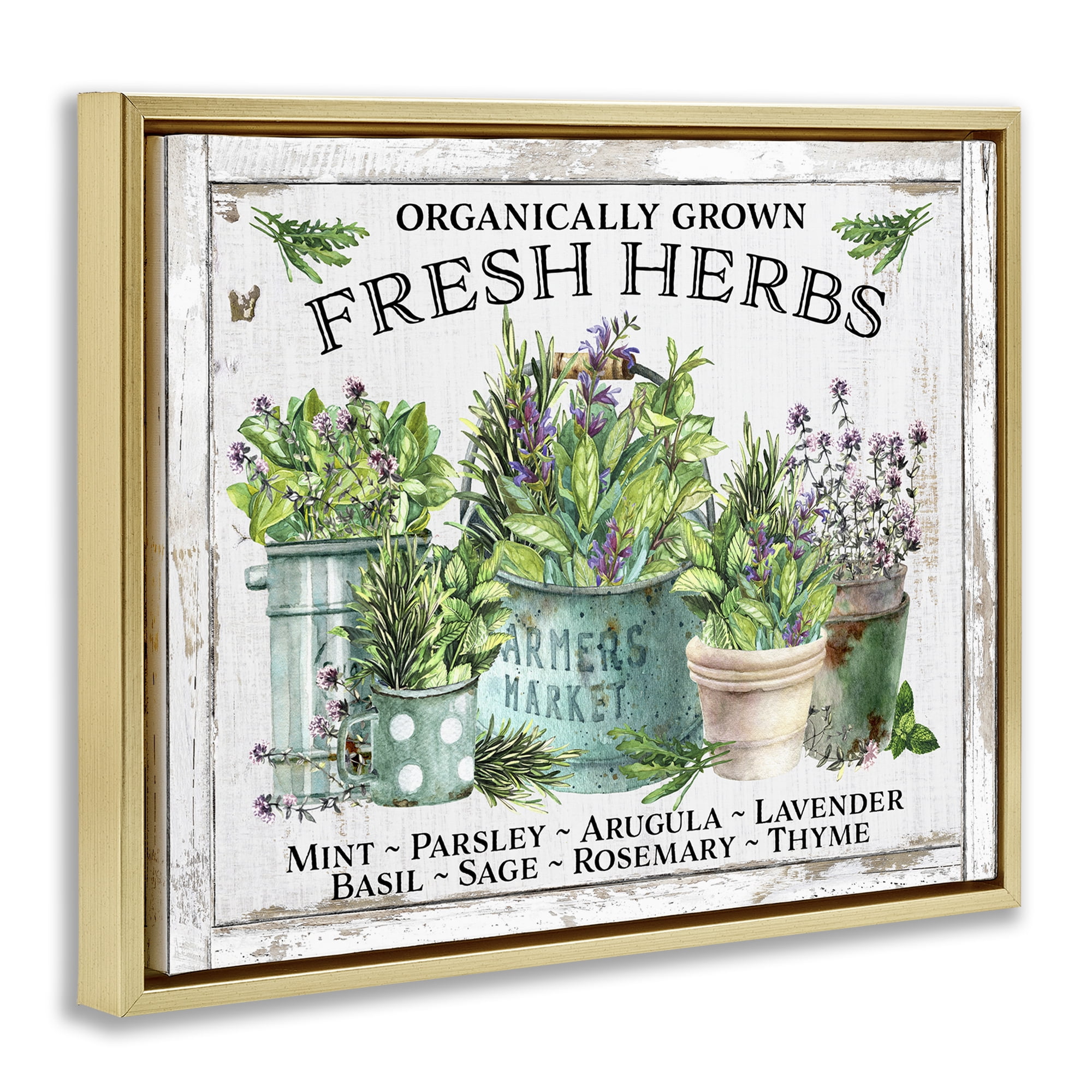 Stupell Industries Organic Fresh Herbs Plants & Flowers Painting Gold Floater Framed Canvas Art Print Wall Art, 31 x 25