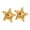 A, variant on Star Studs Earrings Sturdy Alloy High Durability Fashion Jewelry Accessory