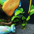 thumbnail image 2 of Electronicheart Fish Tank Aquarium Stainless Tube Diffuser Dioxide Atomiser silver 30cm L 1Set, 2 of 6