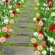 thumbnail image 4 of Artificial Rose Flower Decorations Set | 5pcs Faux Floral Garden Decoration | Plastic Fabric Shrub Plants for Patio, Balcony, Grave, Memorial, Events | Upscale Look Simulation | Long-lasting Outdoor, 4 of 8