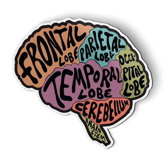 Brain - 5.5" Magnet for Car Locker Refrigerator