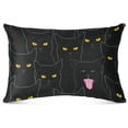 thumbnail image 2 of GZHJMY Black Cat Queen Pillowcase Super Soft Cozy Plush Pillow Case with Zipper for Sofa Bed Couch, 20 x 30 Inch, 2 of 7