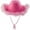 Pink, variant on Yubnlvae Berets Pink Hat with Feather Fluffy Feather Brim Adult Size Cowboy Hat with Feathers for Party Play Dress Up Outfits for Women