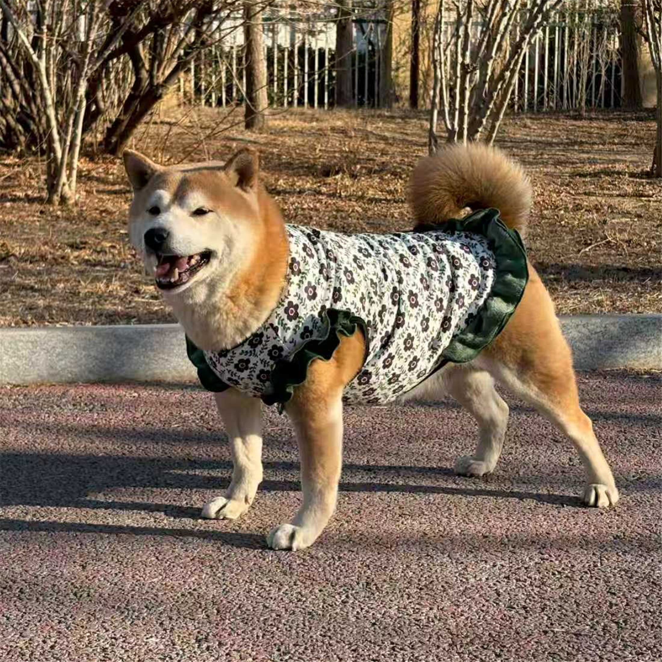 HQREA Floral Dog Dresses for Large Dogs Girl Elastic Spring Autumn Female Clothes Cute Birthday Party Princess Cake Tutu Skirt