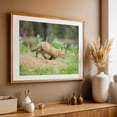 thumbnail image 5 of On The Move Wildlife Photography Print - Photography Fox Wildlife Animal Nature Woodland Wilderness Scenic Unframed Wall Art Print 24 x 36 inches, 5 of 7