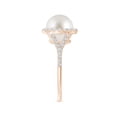 thumbnail image 3 of ANGARA South Sea Cultured Pearl Split Shank Ring with Halo in 14K Rose Gold for Women | June Birthstone, Birthday, Anniversary, Jewelry Gift for Women | Pearl Ring, 3 of 9