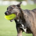 thumbnail image 4 of NERF Feeder Football Dog Toy Green 5in, 4 of 4