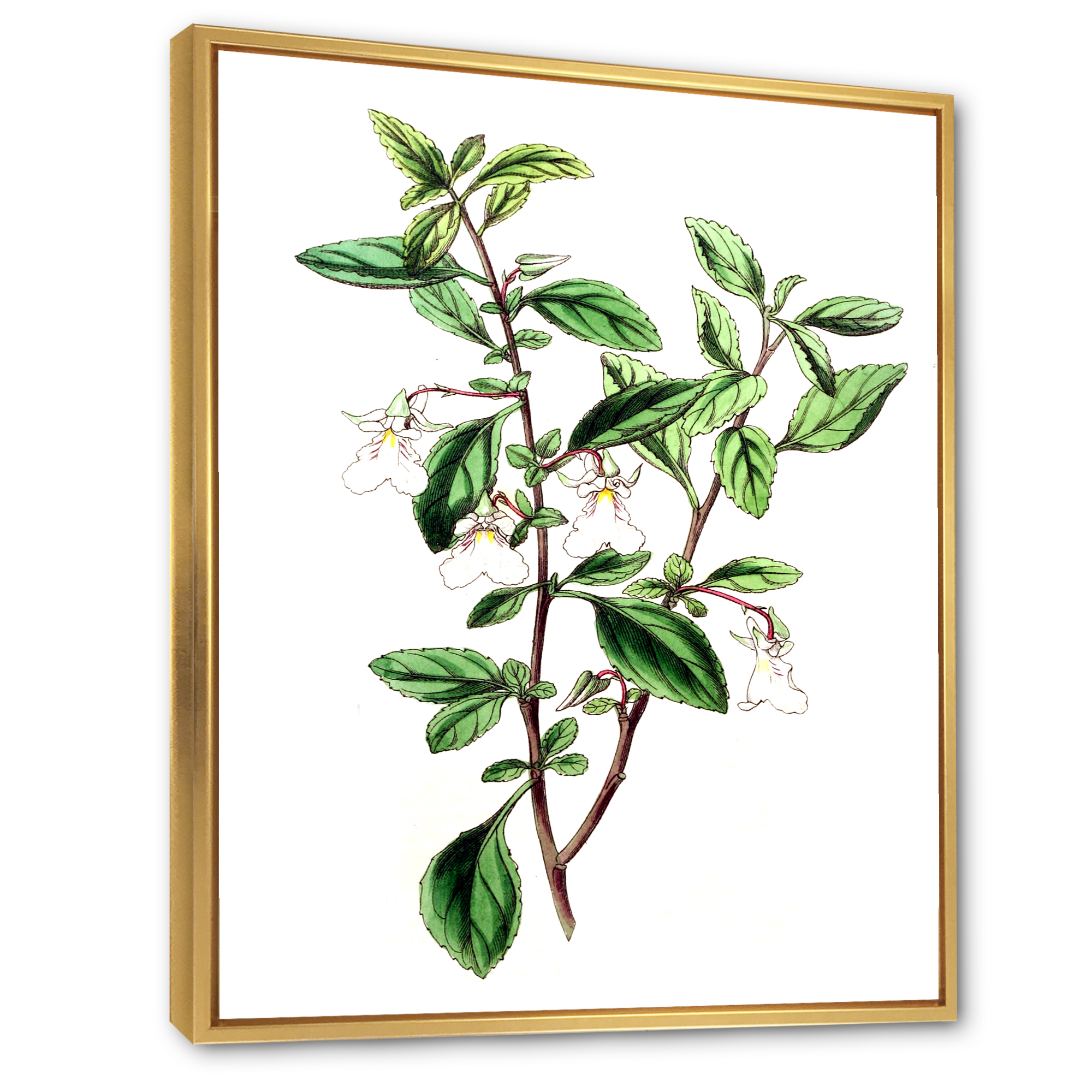Designart 'Ancient Green Leaves Plants VII' Traditional Framed Canvas Wall Art Print